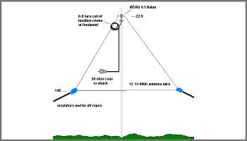 >Delta Loops for HF