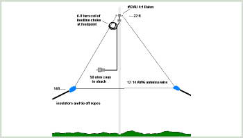 20m Delta Loop