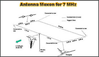 Antenna Moxon for 7 MHz