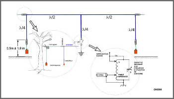 Antenna Bobtail-Curtain 30 Meters