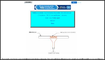 Ferrite coupler