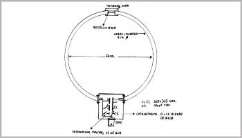 Loop Magnetico RX